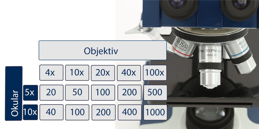 Mikroskop Maßstabszahl berechnen