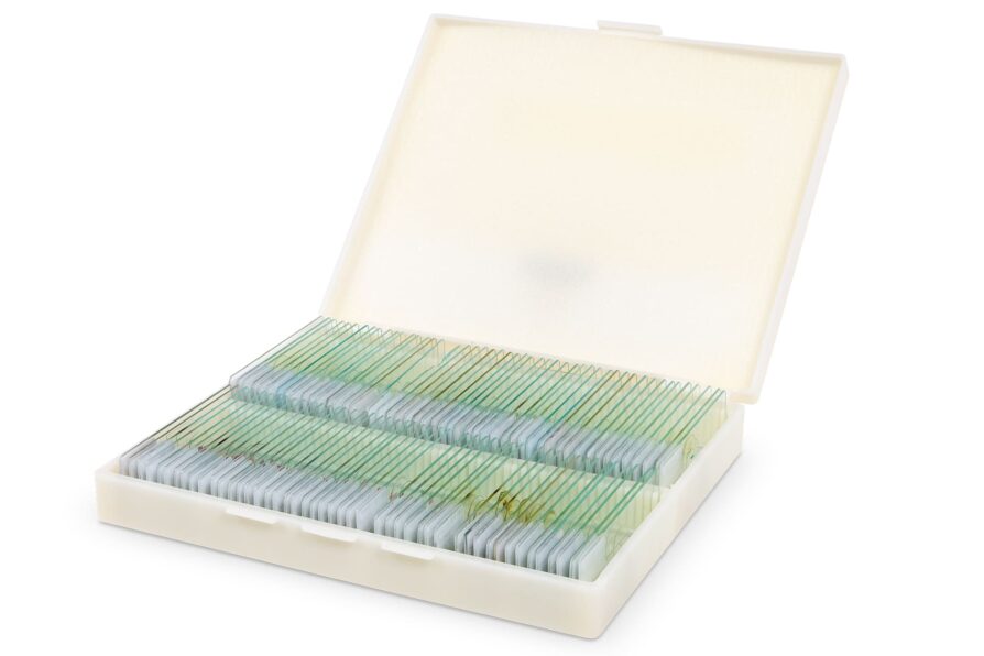 Accessories-Microscope-Permanent-Preparations-Collection-100x-Material for School-Teacher-Training