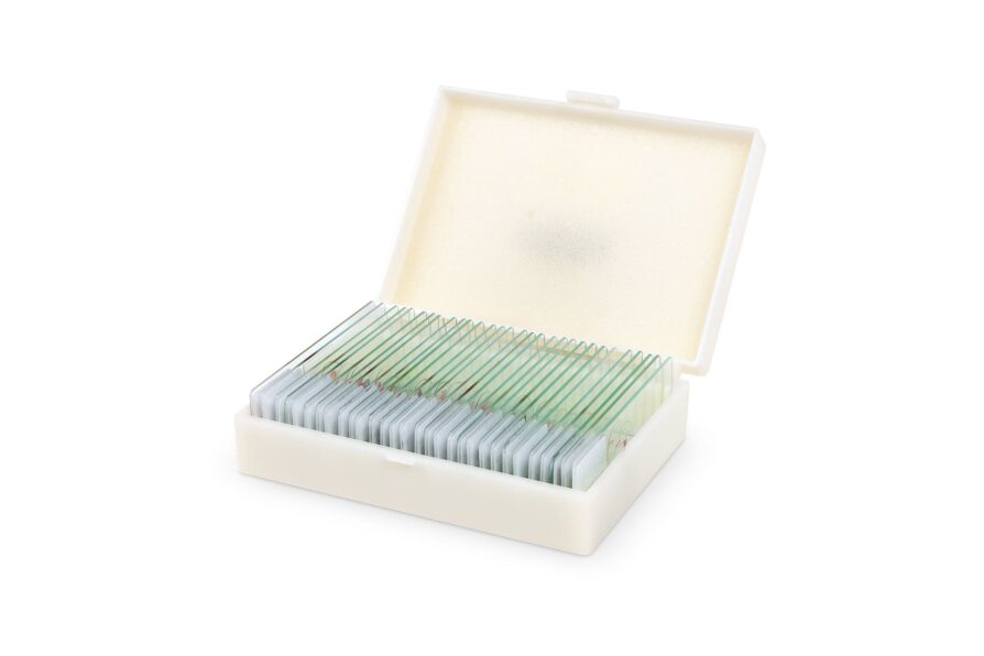 Accessories-microscope-tissue-samples-buy-material-for-school-teacher-training-30X